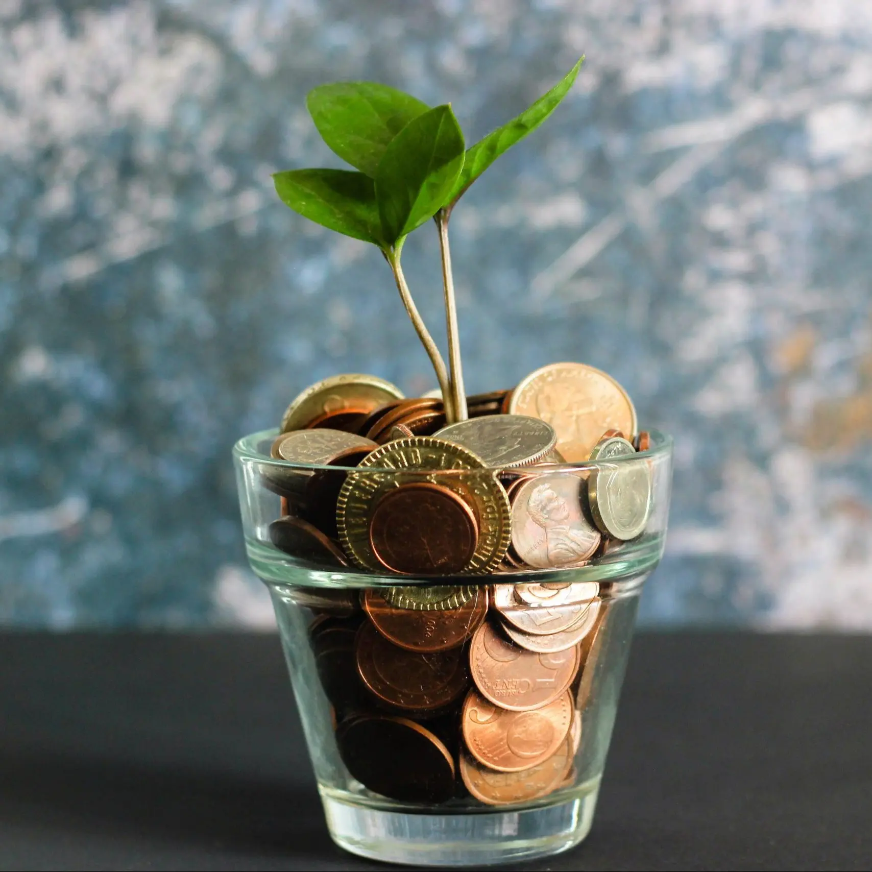 Glass full of coins with a small plant growing out of it.